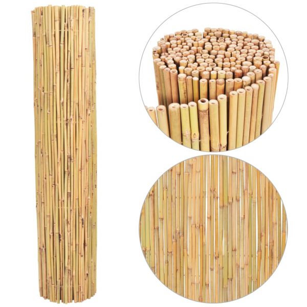 Ograda od bambusa 250 x 170 cm