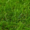 Umjetna trava 1x15 m/40 mm Zelena