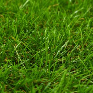 Umjetna trava 1 x 10 m / 30 mm zelena