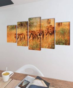Zidne Slike na Platnu Set s Printom Lavovi 100 x 50 cm